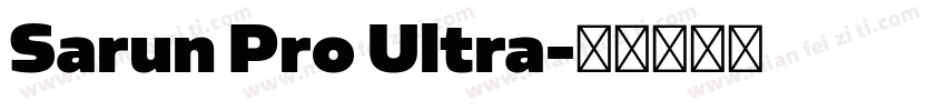 Sarun Pro Ultra字体转换